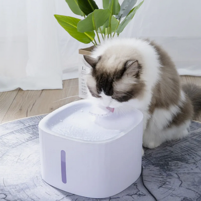 PawsomeCriters™ FreshFlow Pet Fountain