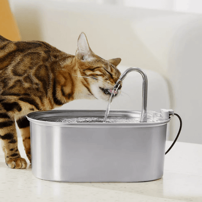 PawsomeCriters™ PureFlow  Pet Fountain