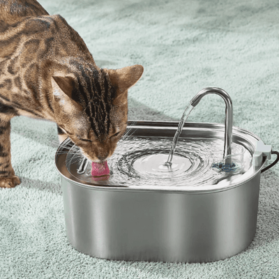 PawsomeCriters™ PureFlow  Pet Fountain